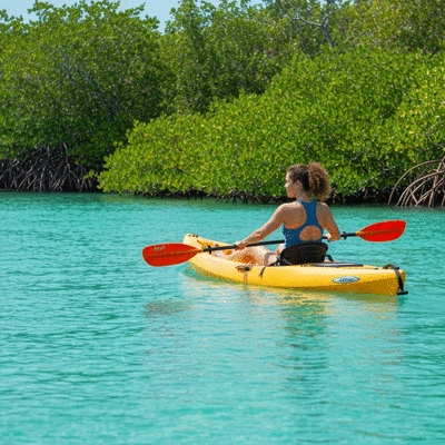 Person kayaking through mangroves in Fort Myers, Florida, with lush greenery and clear water